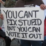 You-cant-fix-stupid-but-you-can-vote-it-out